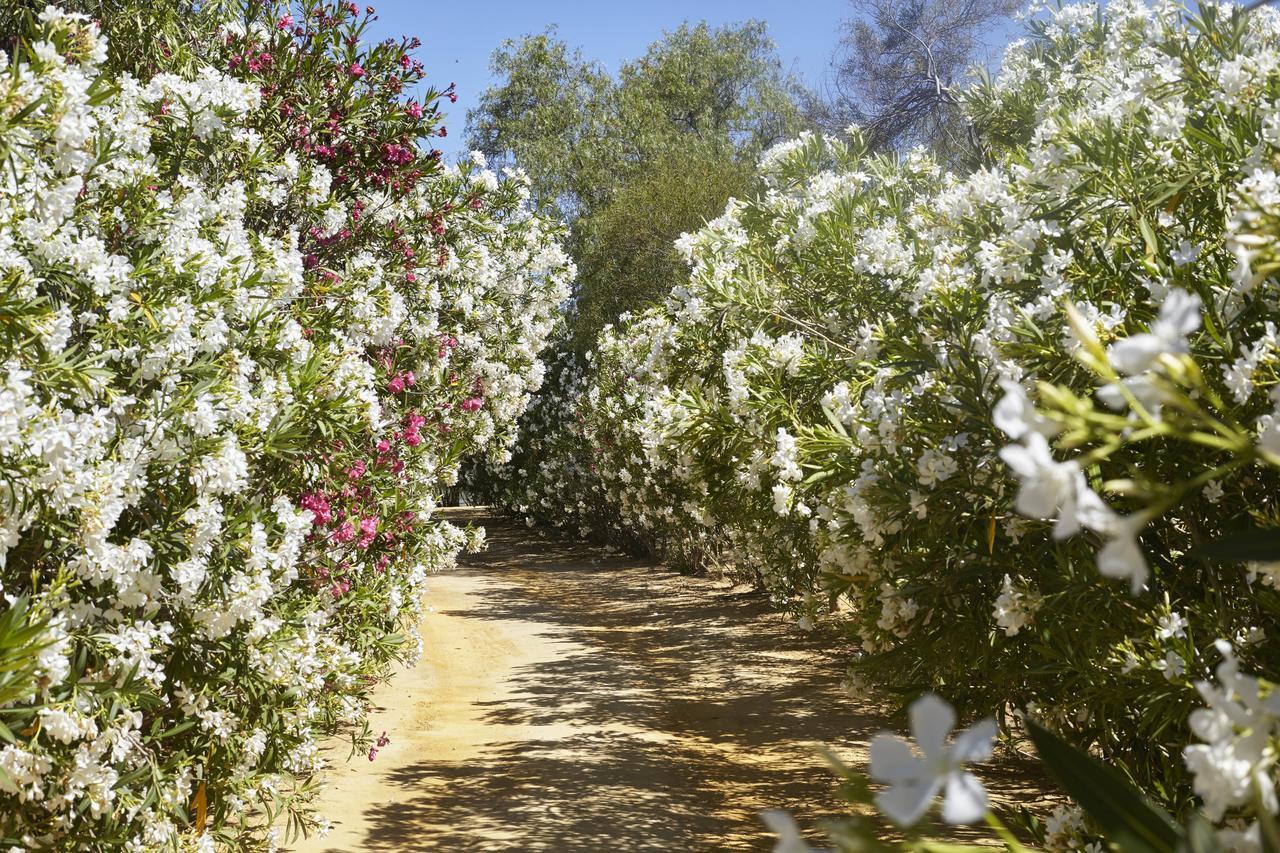 Готель Hacienda De San Rafael Лас-Кабесас-де-Сан-Хуан Екстер'єр фото