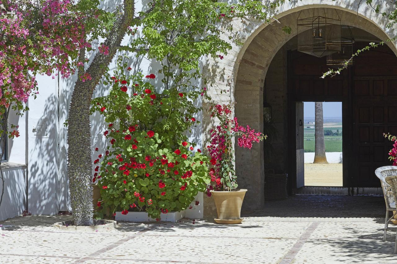 Готель Hacienda De San Rafael Лас-Кабесас-де-Сан-Хуан Екстер'єр фото